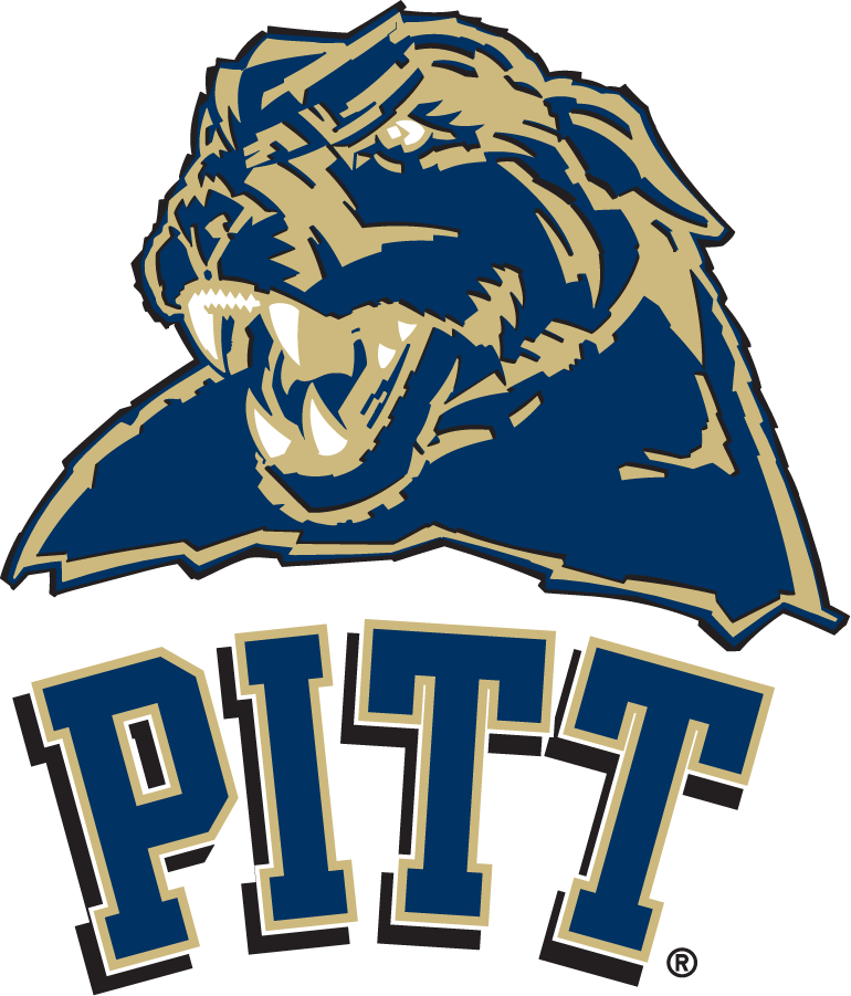 Pittsburgh Panthers 2005-2006 Secondary Logo diy DTF decal sticker